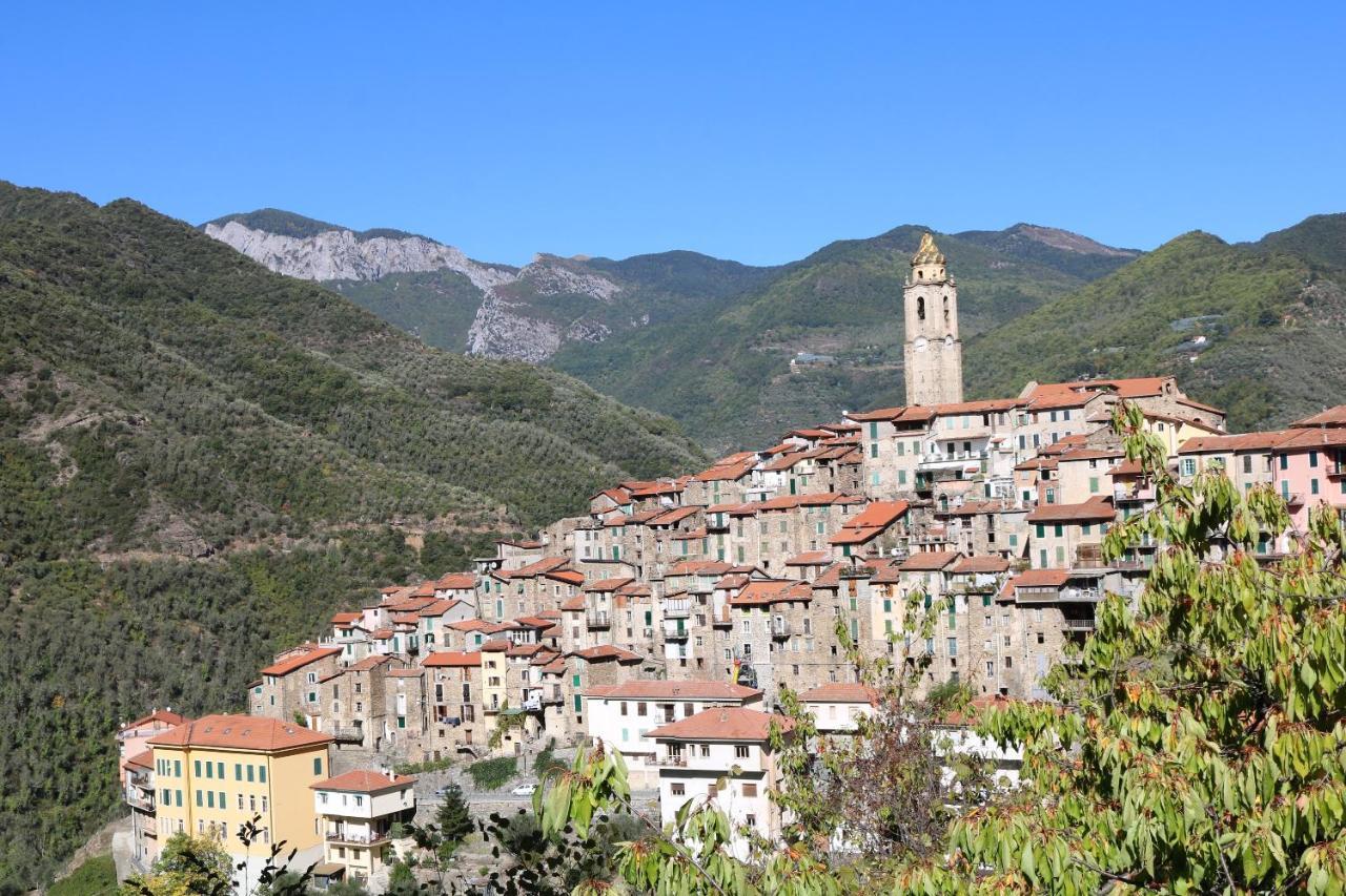 Agriturismo Soo Segundi - Incantevole Con Camino